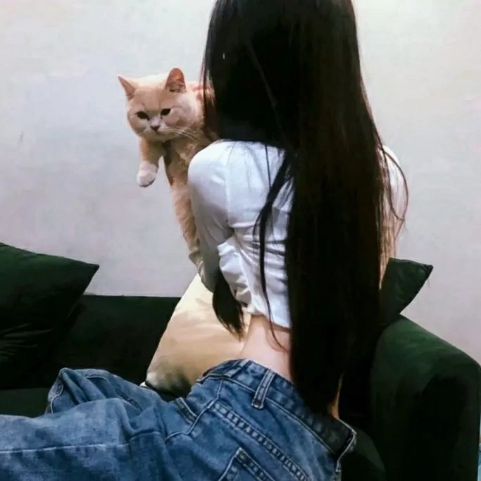 疯狂拉力赛