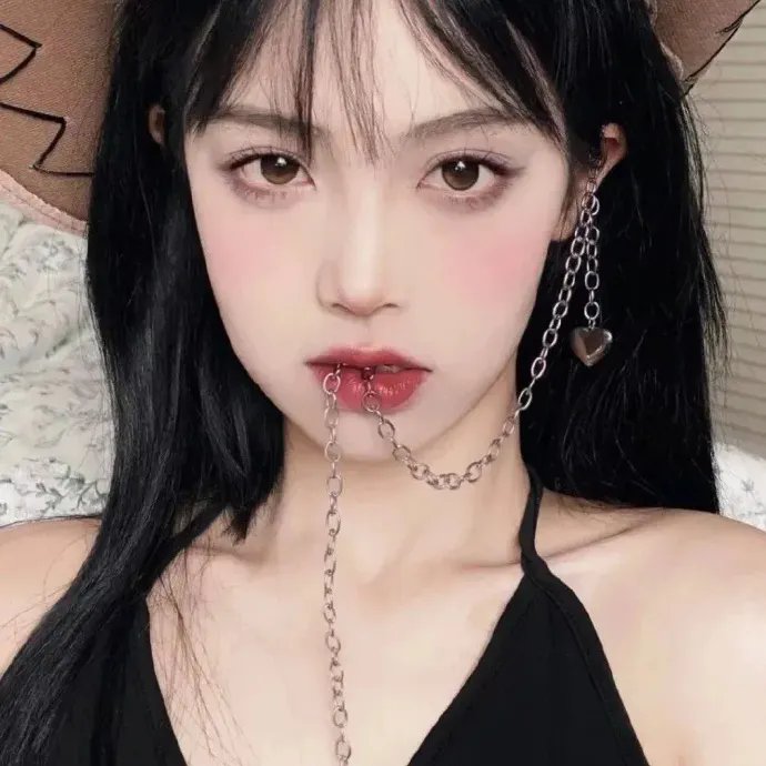 完美的主人